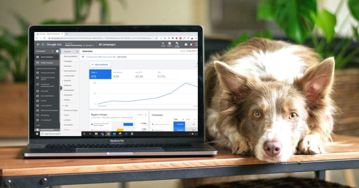 dog next to a laptop screen
