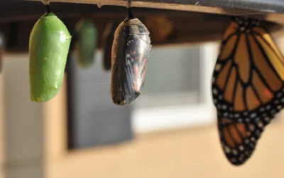 How Internet Marketing Has Changed