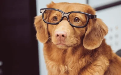 How to Make Life Easier as a Marketing Consultant