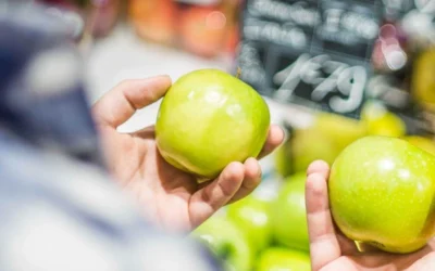 How to Pick the Right Agency as a Marketing Consultant