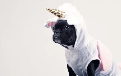 Why and How Should You Tell Your Brand’s Story?